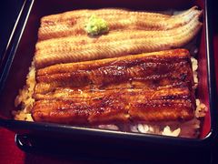 -料亭菊水楼