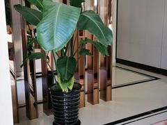 -申远空间设计丨大宅别墅装修定制(徐汇设计中心)