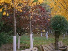 -长白岛森林公园