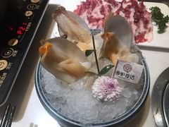 小象鼻蚌-围炉夜话·潮汕卤水火锅(榕江店)