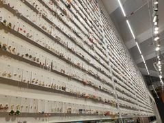 -KKV(深圳宏发大仟里店)