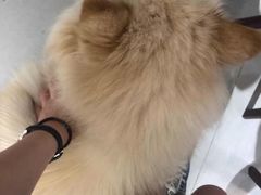 -肆兮眼镜·蔡司·徕卡战略合作店(大坪店)