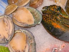 -东国海鲜火锅城(氹仔店)