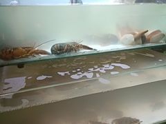 -樱之盛宴·蟹料理海鲜自助(前进大街店)