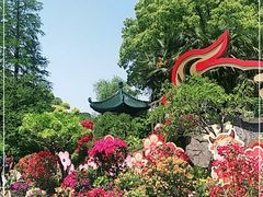 -无锡梅园公园