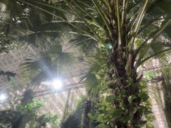 -龙脉温泉室内游泳馆