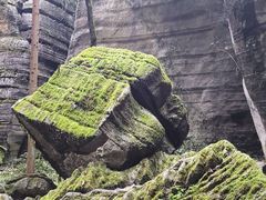 -梭布垭石林景区