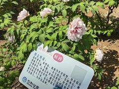 -仁和公园(顺义区)
