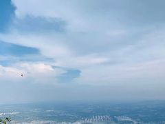 -阳台山自然风景区