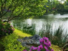 -雅达·阳羡溪山小镇中心