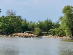 -盐城丹顶鹤湿地生态旅游区