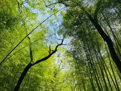 -青龙山国家森林公园
