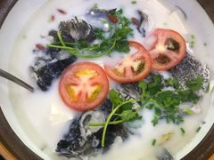-全乐鱼馆·淳牌有机鱼直营店