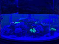 -上和臻品中国菜(花园街店)