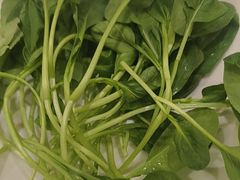 -蒙都43°9羊火锅·赤峰美食(宁城店)