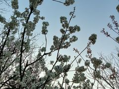 -宝界山林公园