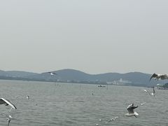 -蠡湖大桥公园