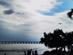 -宝安西湾红树林湿地公园