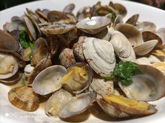 -前海沿·青岛菜(大拇指广场石老人店)