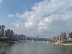 -李子坝梁山鸡(李子坝大鸡哥店)