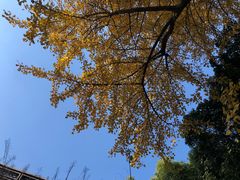 -无锡惠山寺
