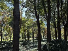 -狼山风景名胜区