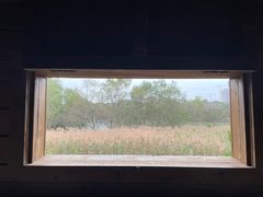 -华侨城湿地公园