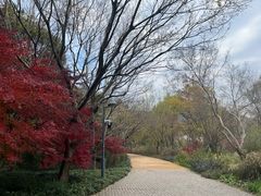 -西湖风景区-江洋畈生态公园