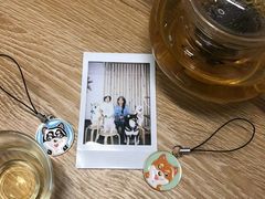 -柴迷FANS CLUB·柴犬狗咖·猫咖