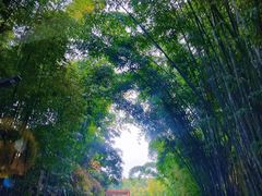 -蜀南竹海景区