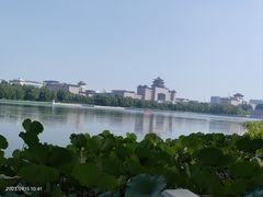 -莲花池公园