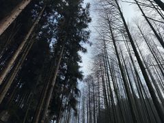 -山王坪喀斯特国家生态公园
