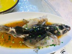 -双东酒店(东关街店)