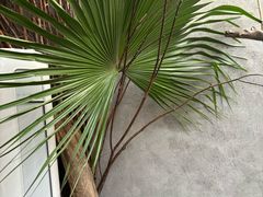 -金稼园·金平湖农家菜
