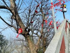 -狼山风景名胜区