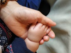 -珠江夜游省总码头