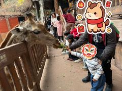 -长鹿旅游休博园