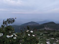 -灵山