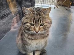 -炊烟餐厅