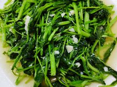 红薯苗-温州一家人美食(西木头市店)