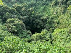 -海口火山口国家地质公园