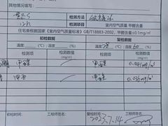 -Liteclear日本进口强效除甲醛检测治理(旗舰店)