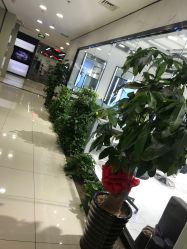 -华卫思理轻奢造型