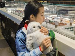 -酷巧·巧克力糖果店