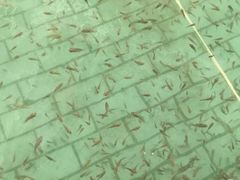 -天山海世界·米立方