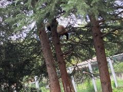 -西安秦岭野生动物园