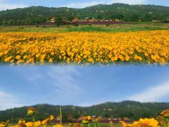 -长岛南北长山旅游景区