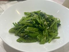 -丁老爷子苏香圆
