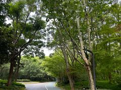 -吴淞炮台湾湿地森林公园烧烤区