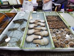 -大湾区中央湿地公园-十九涌